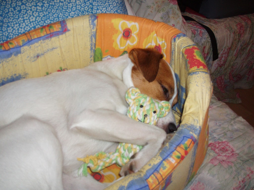img00017.jpg