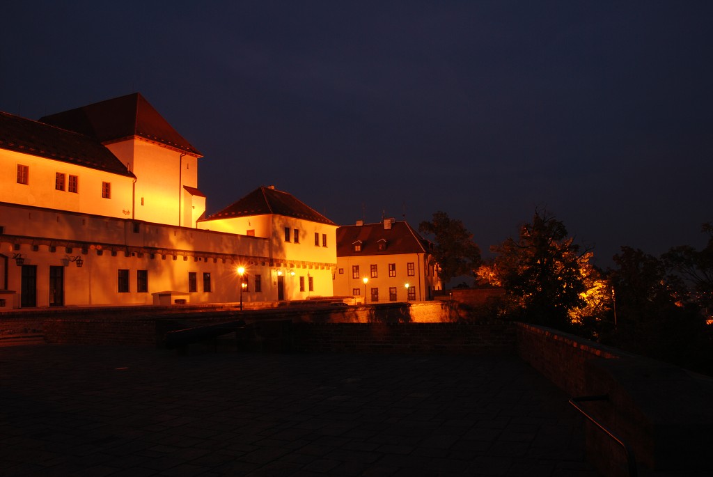 img00009.jpg