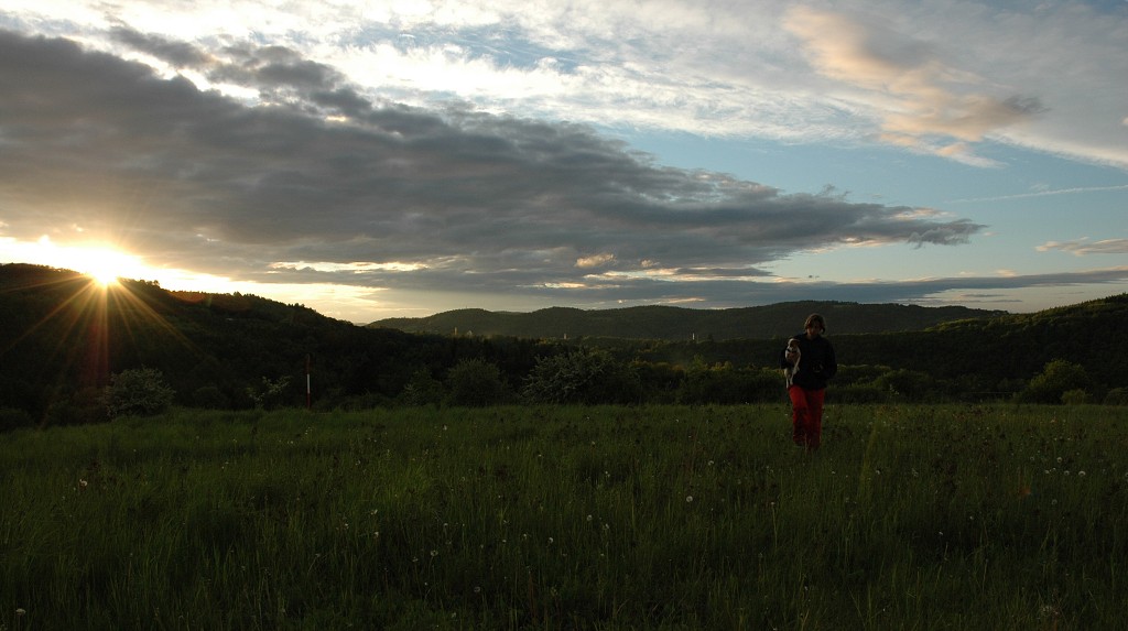 img00018.jpg