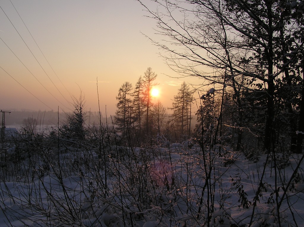 img00029.jpg