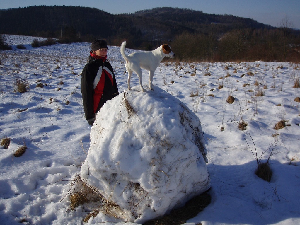 img00030.jpg