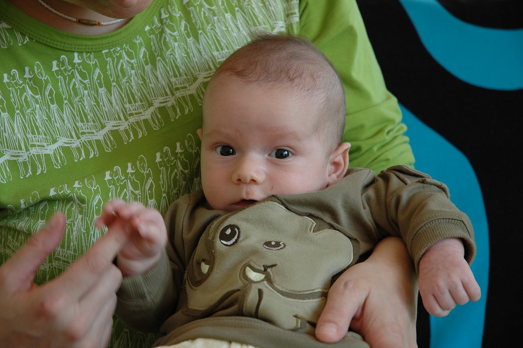 img00007.jpg