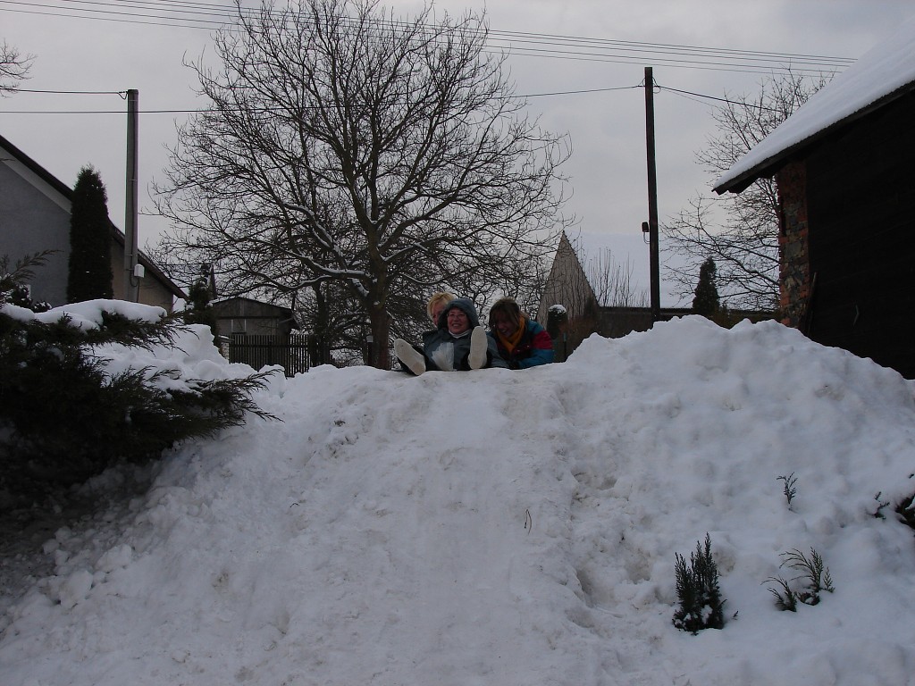 img00005.jpg