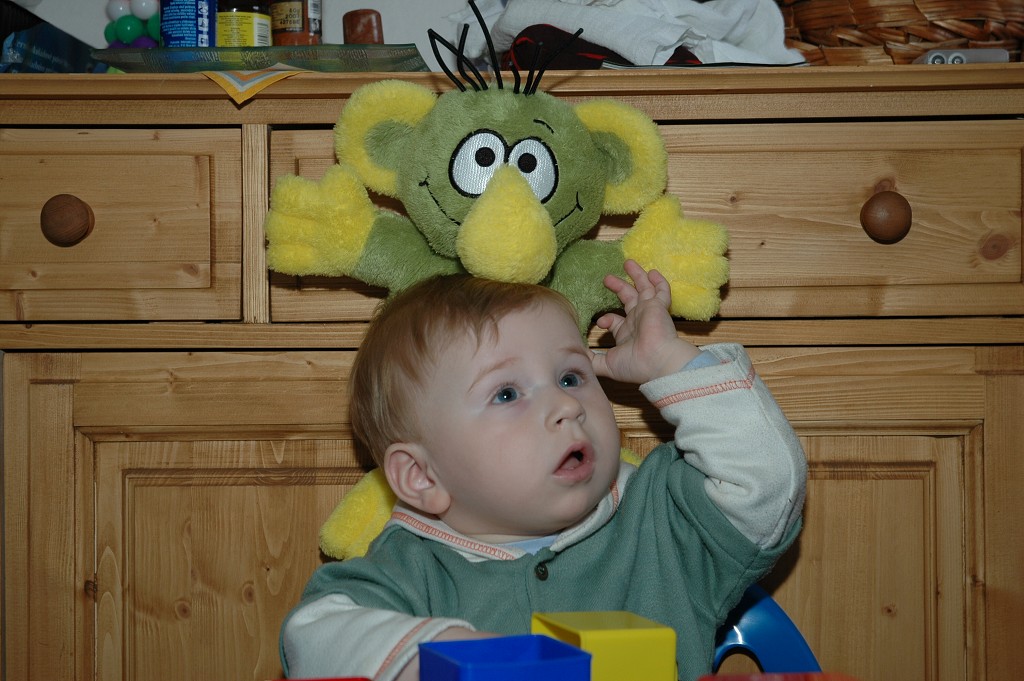img00015.jpg