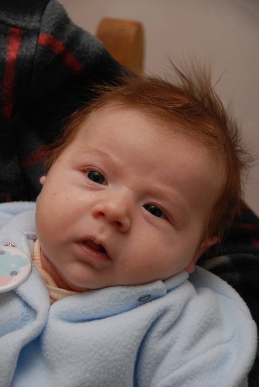 img00008.jpg